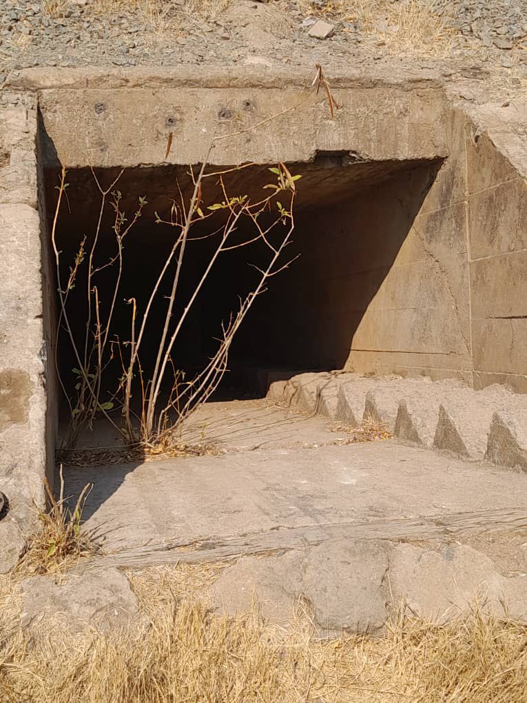 The entrance to a dormant mine, with vegetation around the opening